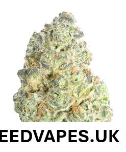 BADDIE STRAIN UK