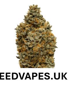 BLUE ZUSHI STRAIN UK