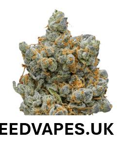 BLUEBERRY CHEESE CAKE UK