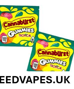 CANNABURST TROPICAL GUMMIES UK
