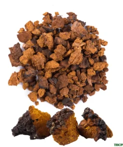 CHAGA DRIED MUSHROOM ONLINE UK