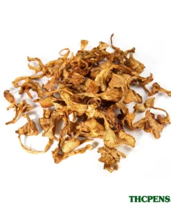 CHANTERELLE (GIROLLE) DRIED MUSHROOM UK
