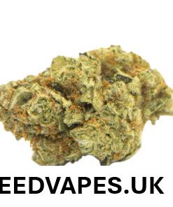 GASFACE OG STRAIN UK