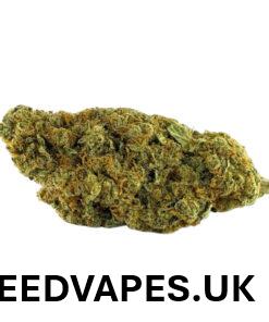 GIRL SCOUT COOKIES STRAIN UK