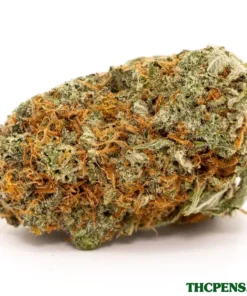 GIRL SCOUT COOKIES STRAIN UK