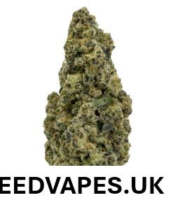 ICE CREAM CAKE STRAIN UK