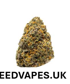 LEMON CHERRY GELATO STRAIN UK