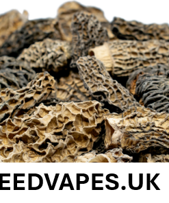 MOREL DRIED MUSHROOM UK