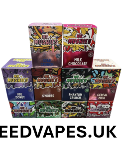 MR MUSHIES SHROOM BARS UK