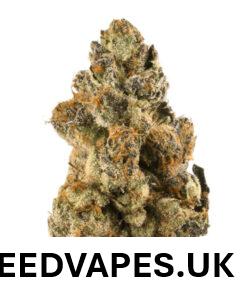 OG KUSH STRAIN UK
