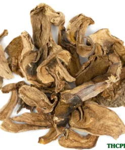 PORCINI DRIED MUSHROOM UK