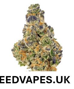 PURPLE PUNCH STRAIN UK