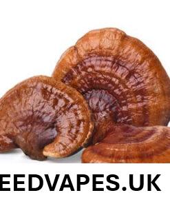 REISHI DRIED MUSHROOMS UK