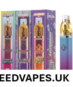 SLUGGERS HIT DISPOSABLE UK