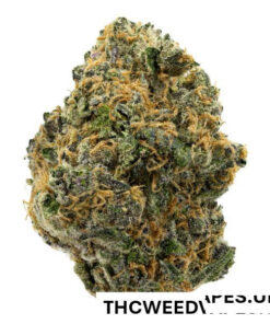 SUNSET ZKITTLEZ STRAIN UK