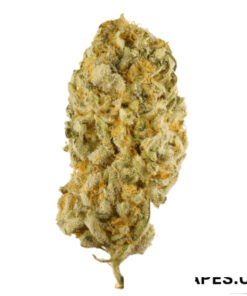 SUPER SILVER HAZE UK