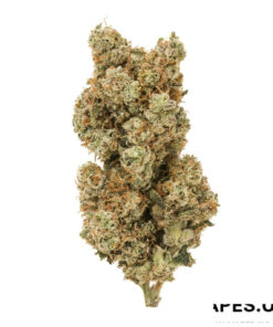 WHITE WIDOW STRAIN STRAIN UK