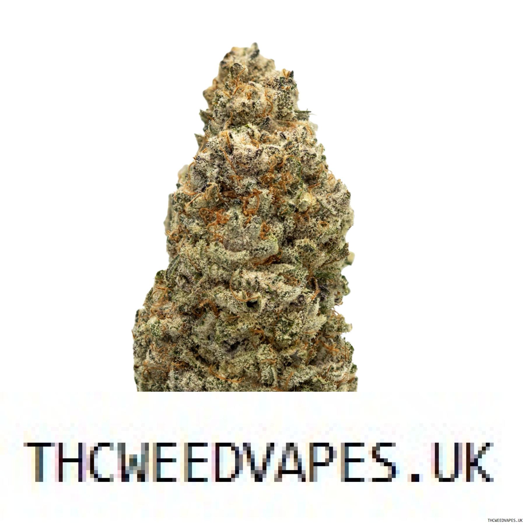 1204202669dc09ff0b9bc.jpeg