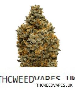 BLUE ZUSHI STRAIN UK