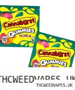 CANNABURST TROPICAL GUMMIES UK