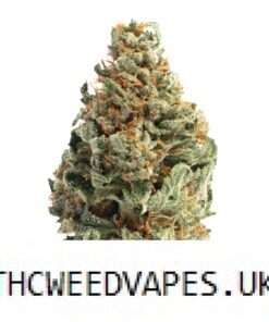 CLOUD 9 STRAIN UK