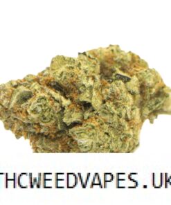 GASFACE OG STRAIN UK