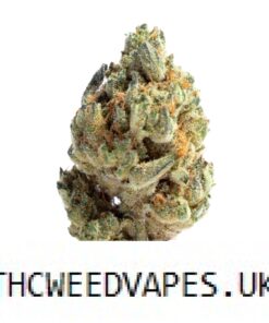GELATO STRAIN UK