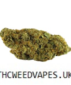 GIRL SCOUT COOKIES STRAIN UK