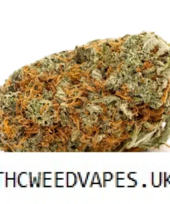 GIRL SCOUT COOKIES STRAIN UK