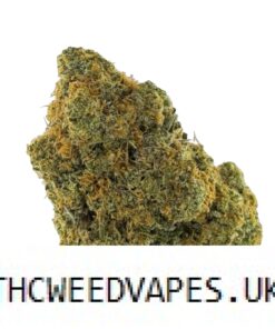 GOAT STRAIN UK