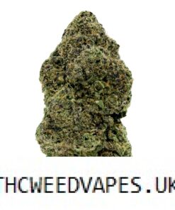 GREEN CRACK STRAIN UK