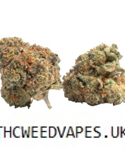 GUSHERS STRAIN UK