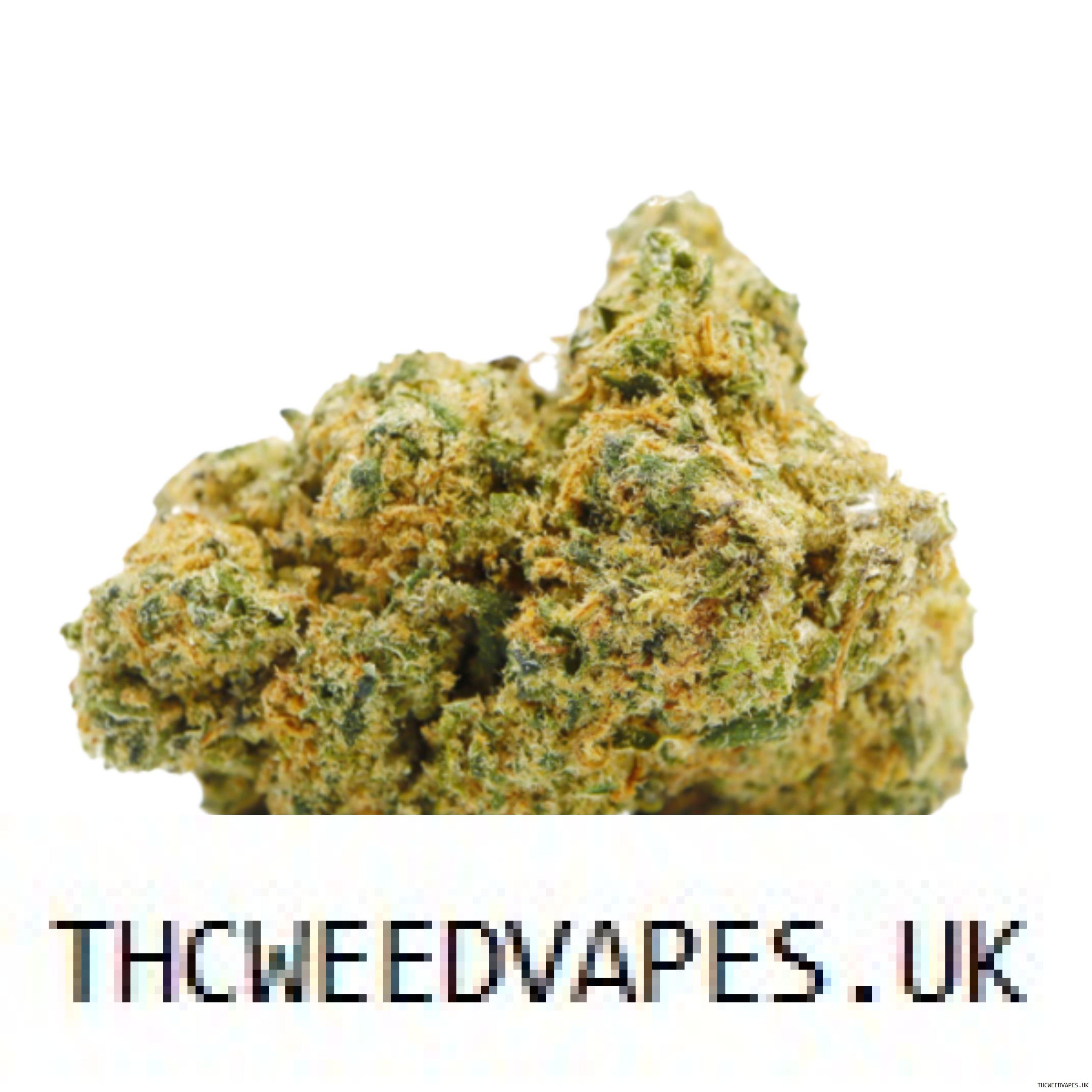 1204202669dc0c0e79ed4.jpeg