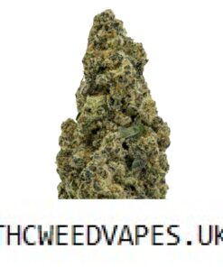 ICE CREAM CAKE STRAIN UK