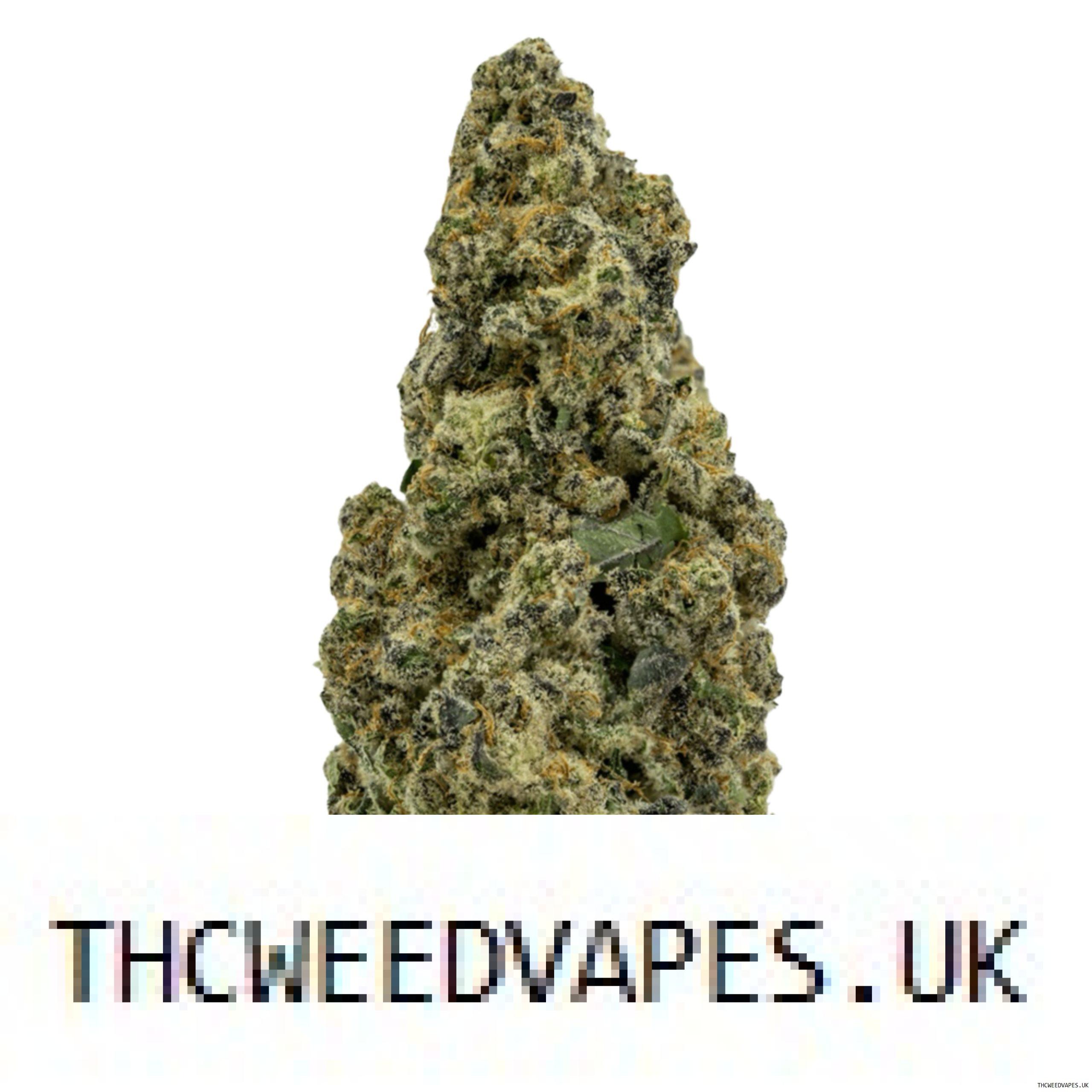 1204202669dc0c13ddade.jpeg