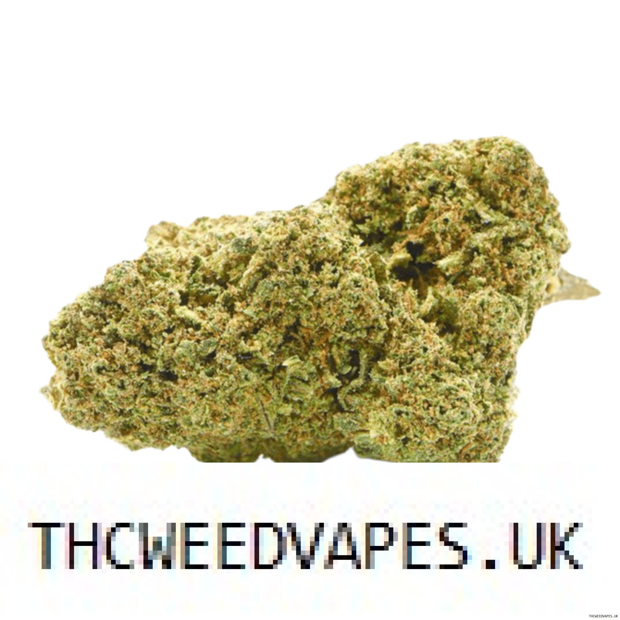1204202669dc0c47027e7.jpeg