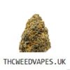 LEMON CHERRY GELATO STRAIN UK