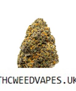 LEMON CHERRY GELATO STRAIN UK