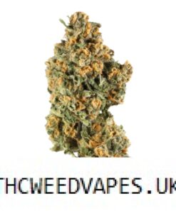 MALIBU STRAIN UK