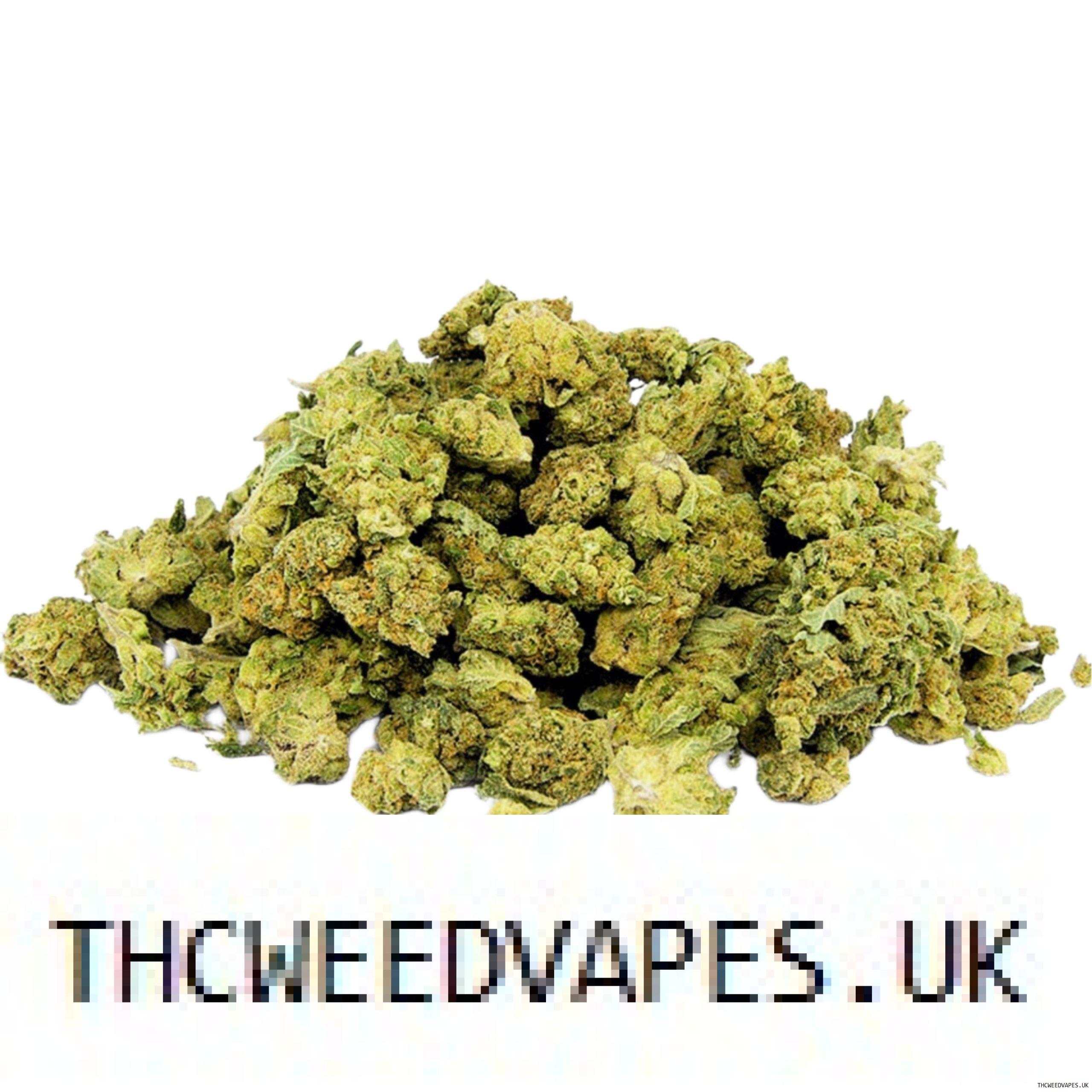 1204202669dc0c80526ce.jpeg