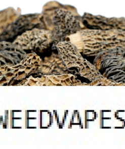MOREL DRIED MUSHROOM UK