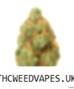 MYSTERY STRAIN UK