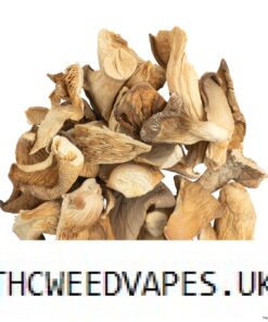OYSTER DRIED MUSHROOM UK