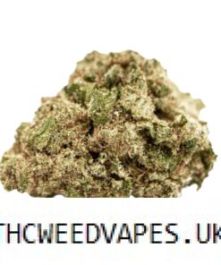 PAVE STRAIN UK