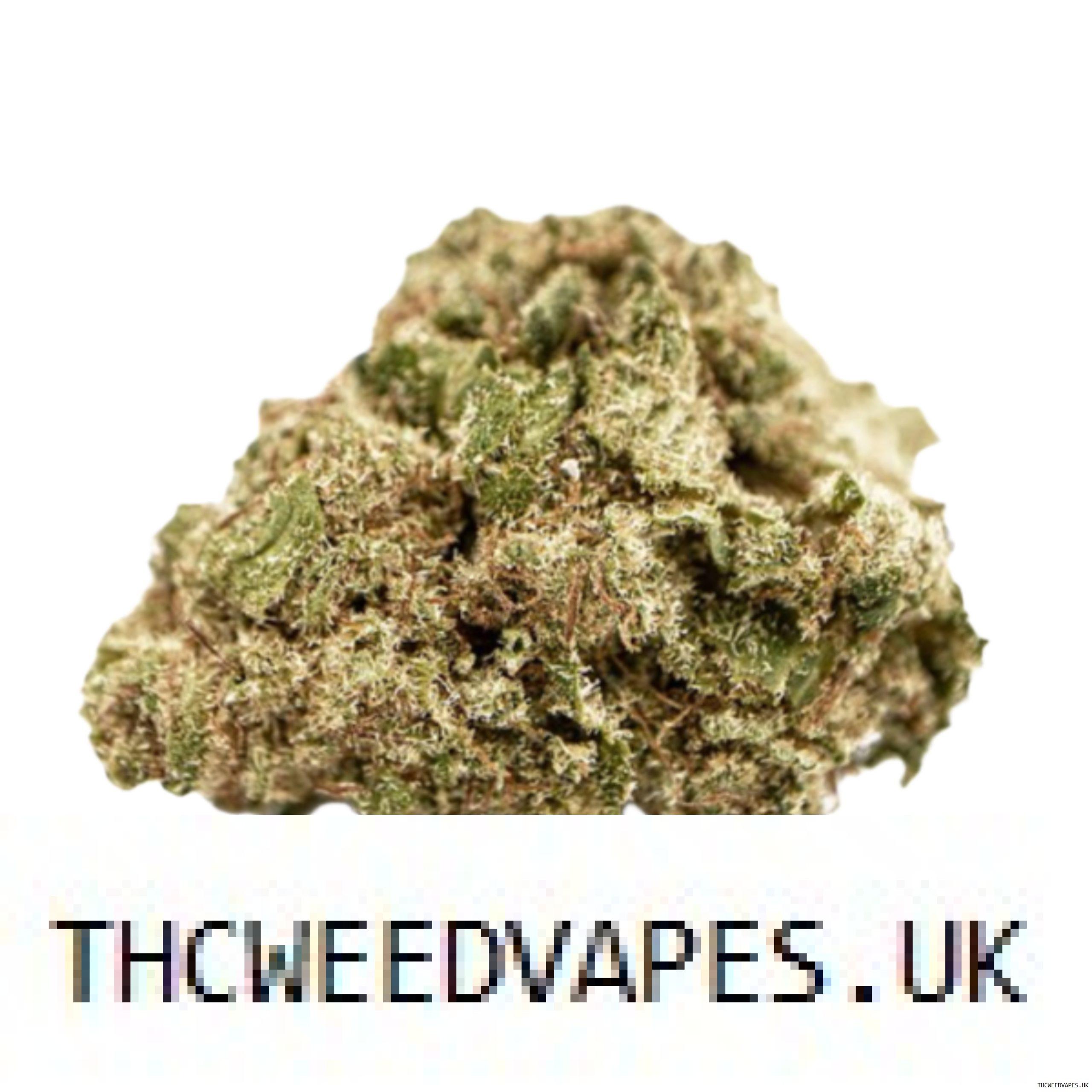 1204202669dc0cc429a40.jpeg