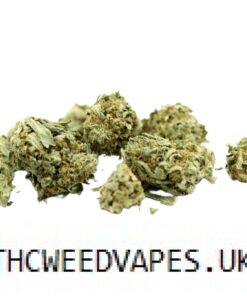 POPCORN GORILLA GLUE #4 UK