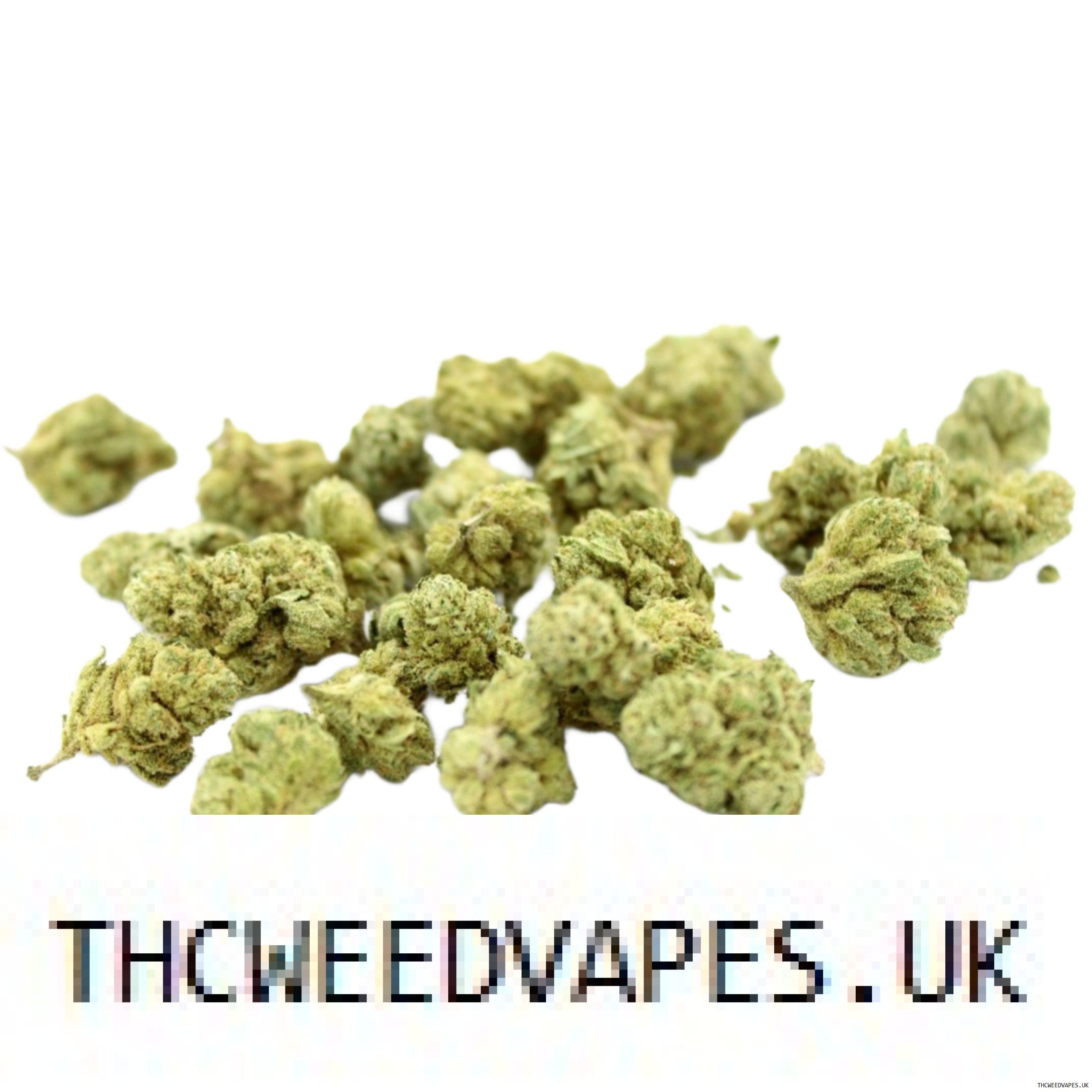 1204202669dc0cec73a95.jpeg