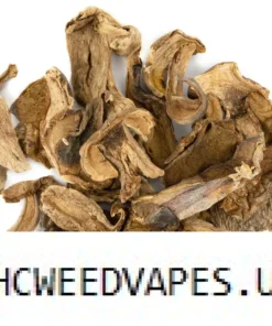PORCINI DRIED MUSHROOM UK