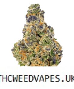 PURPLE PUNCH STRAIN UK