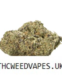 RUNTZ STRAIN UK